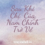 Sau Khi Chị Của Nam Chính Trọng Sinh