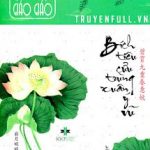 Bích Tiêu Cửu Trùng Xuân Ý Vũ