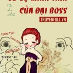 Cô Vợ Minh Tinh Của Đại Boss