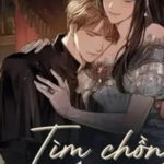 Tìm Chồng Cho Mẹ
