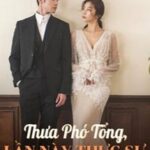 Thưa Phó Tổng, Lần Này Thực Sự Ly Hôn Rồi!
