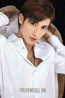 Tái sinh Chi Đại Giới